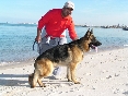Jasim al Hashas a Odyn.jpg
